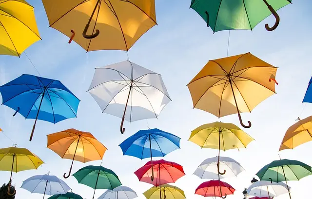 Guide Complet d'Installation de Détecteurs de Fumée